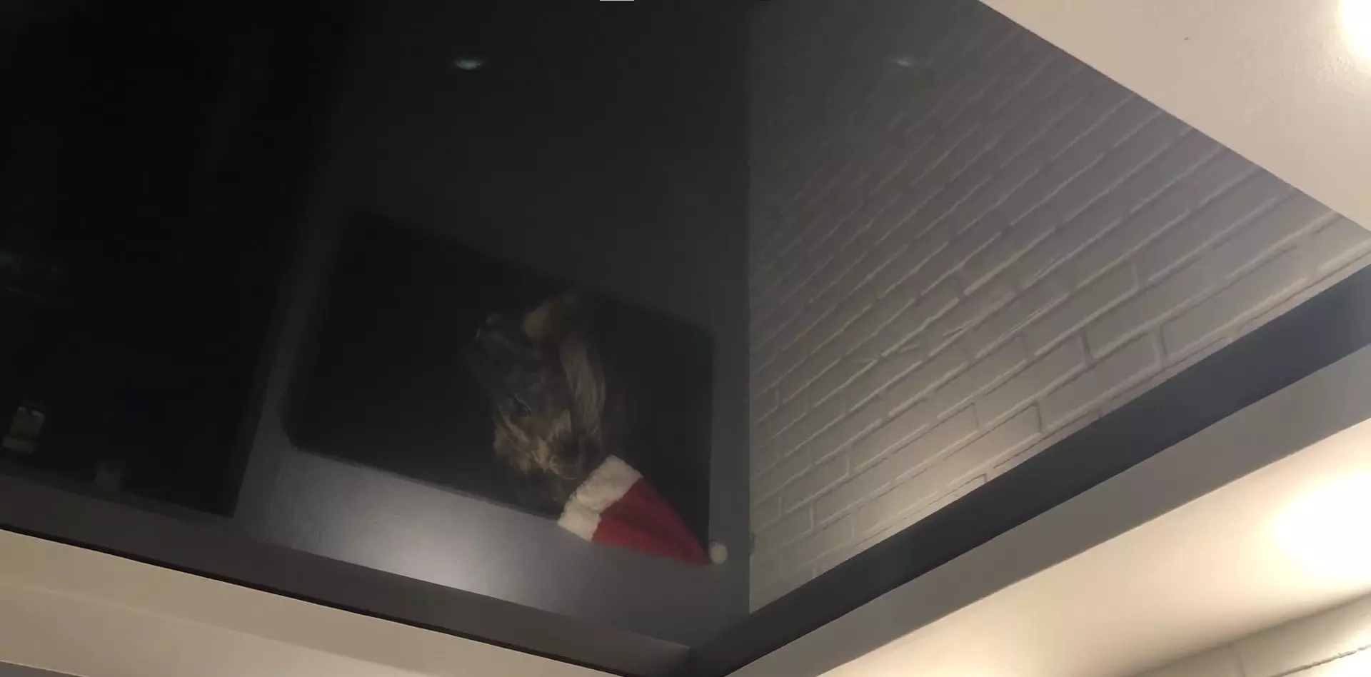 Киров, Ленина, 205, фото 3